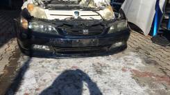 Ноускат. Honda Accord