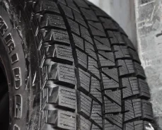 Bridgestone Blizzak DM-V1. �����������, �/�, ����� 10�% ����