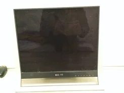 Sony. 19"