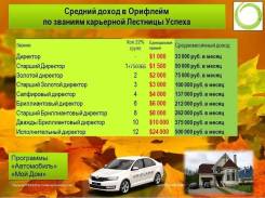 Консультант , директор