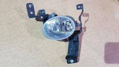 Фара противотуманная. Acura Legend Acura RL Honda Legend, KB1 Двигатели: J35A8, J37A2, J37A3, J35A