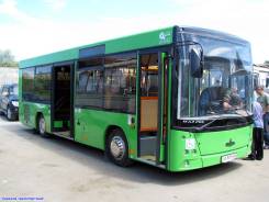 МАЗ 206. , 4 600 куб. см., 72 места