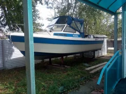 Yamaha F-24. 1992 ���, ����� 7,2��., ��������� ���������, 150��.�., ������ ����