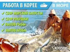 Работа в Южной Корее! Билет НА Паром 09.05 и 16.05