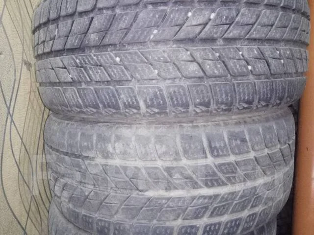 Auplus WINTERSPORT. �����������, 2012 ���, �/�, ����� 30 %. ��� ����� �� ������������ ����