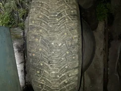 Cordiant Polar SL. ������, ����������, 5�%