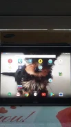 Samsung Galaxy Tab 4 10.1 16Gb ����