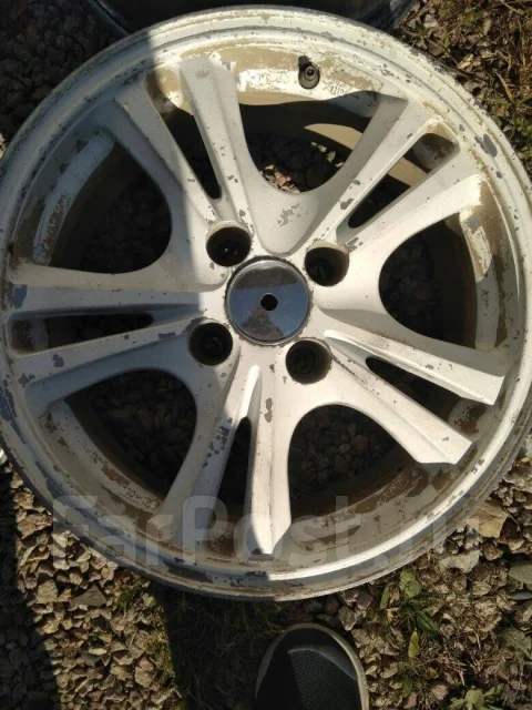 Platin. x14" ����