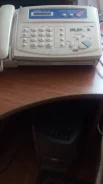 �����. ����