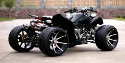 4 Wheel Buggy, 2017. ��������, ��, ��� �������. ��� ����� �� ���������� ����