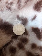 5 ������ 1992 � ����