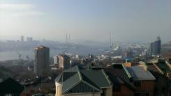 Продам таун-хаус с шикарным видом на Золотой мост!. Улица Жуковского 30, р-н Толстого (Буссе), площадь дома 270 кв. м., централизованный водопровод, э...