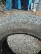 Evergreen. ������, ��� �����, 2015 ���, �/�, ����� 10�% ����
