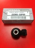 ������ ��������� Nissan ����� � �������� 22060-30P00 ����