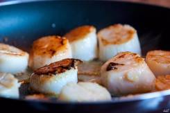 Морской гребешок.