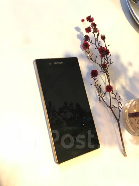 Sony Xperia Z3+. �/� ����