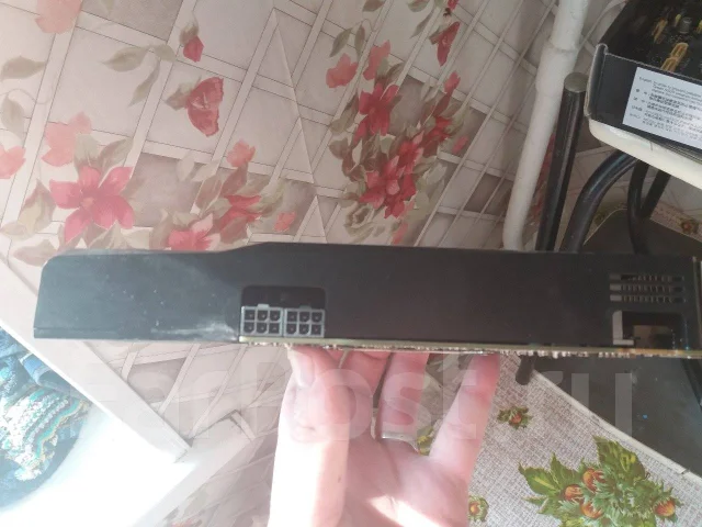H81 ����