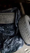 Gislaved Nord Frost 100. ������, ����������, �/�, ����� 5�% ����
