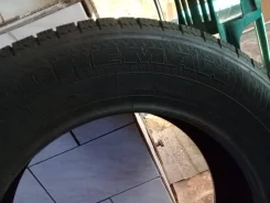 Gremax All Terrain. ������, ��� ����, 2017 ���, �����