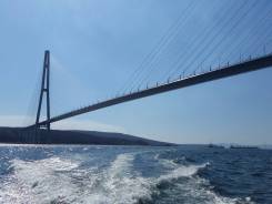 Прогулка на катере, морское такси, доставка на рейд. 6 человек, 60 км/ч