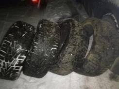 Nexen Winguard Ice. ������, ����������, 2017 ���, �����
