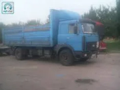 ��� 5336 ����