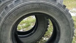 Fedima Extreme. �����������, �/�, ����� 20 % ����