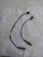 ������ ��������� 36531PLMA01 ����