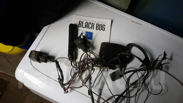 Black Bug ����