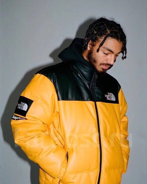 supreme the north face leather nuptse jacket