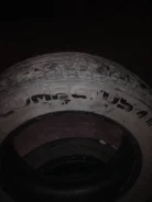 Lassa Competus H/L. ������, �/�, ����� 70�% ����