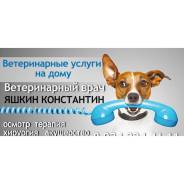 Ветеринарный врач