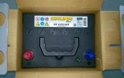 Caura. 60��.�., ������, ������������ ����� ����