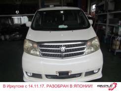 Toyota Alphard. MNH15, 1MZ