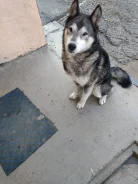 �����.