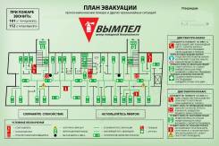 Пленки.