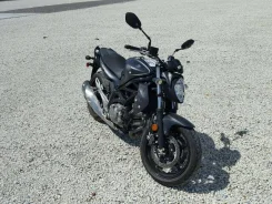 Suzuki SFV 650 Gladius. 650����. ��., ��������, ���������, ��� �������. ��� ����� �� ������������ ����