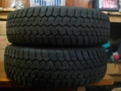 Amtel NordMaster. ������, ��� ����, 2008 ���, �/�, ����� 5�%