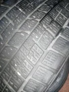 Dunlop D250. ������, ��� �����, 2010 ���, 10�%