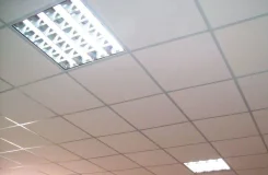 ��������� �������. ����