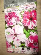 Петуния.