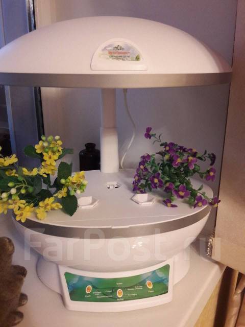 Теплица домашняя - Растения во Владивостоке