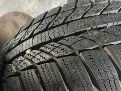 GT Radial Champiro WinterPro. ������, ��� �����, 2016 ���, 5�%
