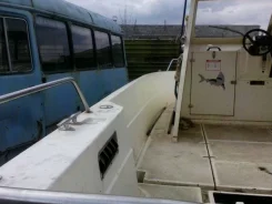 Yamaha Fish. 1998 ���, ����� 7,00��., ��������� ������������, 130,00��.�., ������ ����