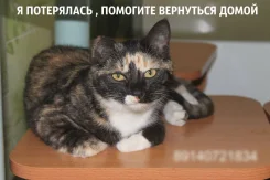�����.
