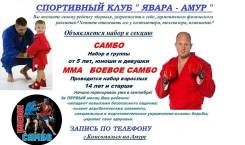 Самбо, боевое самбо, мма