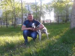 Менеджер по аренде. Средне-специальное образование, опыт работы 3 года