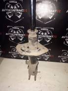 Амортизатор. Nissan Bluebird Sylphy, G11Z Nissan Elgrand, E51, ME51, MNE51, NE51 Двигатели: HR16DE, MR20DE, VQ25DE, VQ35DE
