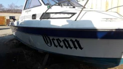 Yamaha FR-25. 1990 ���, ����� 7,4��., ��������� ���������, 175��.�., ������ ����