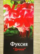 Фуксия.